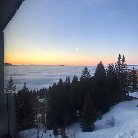 Apartment Cosy A Avec Vue Sur Montagne + 34m² Chamrousse